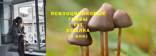 прущая мука Верея