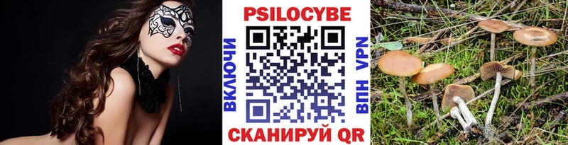 купить цена mega ONION Галлюциногенные грибы мицелий Владикавказ